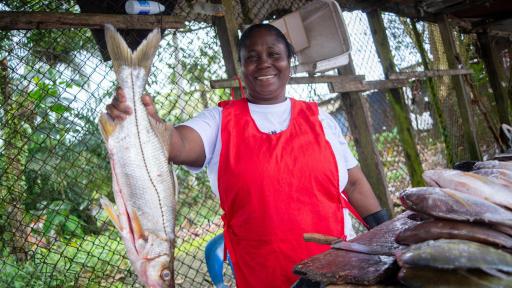 Buenaventura, gastronomía y tradiciones: Platoneras del Pacífico