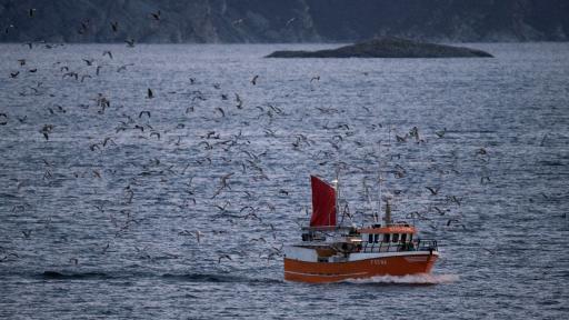 Calentamiento climático 2024: superará umbral de 1.5 °C