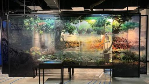 Gobernación del Valle del Cauca- INCIVA