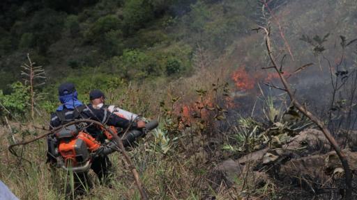 Alerta roja en 26 municipios del Meta debido a los incendios forestales