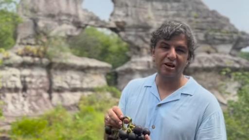 Gian Paolo Daguer: el señor de las frutas en Colombia