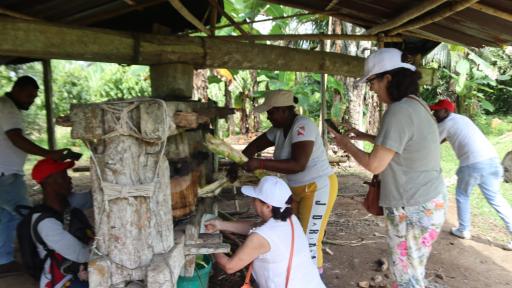  Construcción de paz a través del viche 