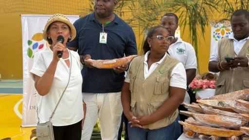 Restitución de tierras:  más de 92 mil hectáreas a comunidades indígenas y afros del pacífico caucano