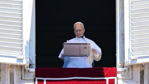 Mensaje papa León XIV en la FAO HOY 