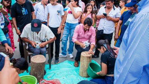 Árbol de Cacay: el legado ancestral que cultivan los campesinos en Lejanías, Meta 