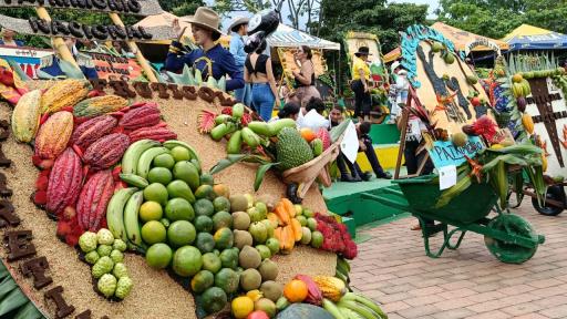  Desfile de Carretillas Frutícolas lejanías, Meta