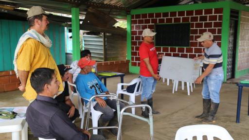 Deforestación en la Amazonia colombiana:  Instituto SINCHI