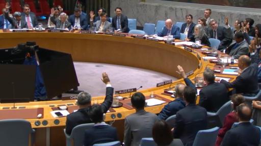 Colombia asume mandato en el Consejo de Seguridad de la ONU 2026-2027