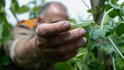 Una granja en la cárcel de varones de Manizales
