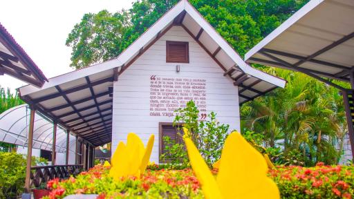 Festival Macondo 2025 Aracataca: programación e invitados 