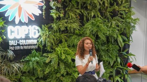 COP16: lanzamiento de la plataforma bio