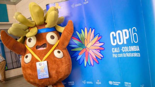 Balance de la COP16 en la Zona Verde- mejores momentos- cifras
