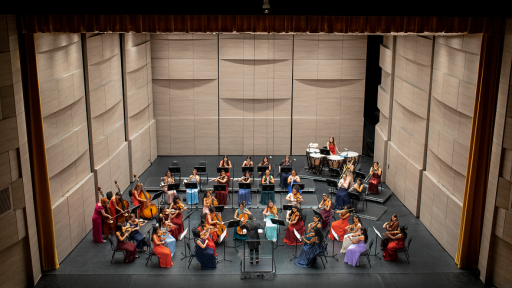 Orquesta Filarmónica de Mujeres de Bogotá: un nuevo hito en Colombia