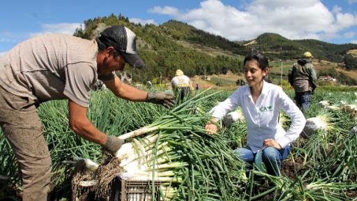 Senado aprueba en segundo debate proyecto de ley que reglamenta la Jurisdicción Especial Agraria