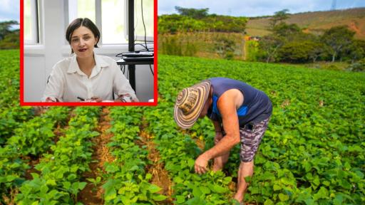 Avances del Ministerio de Agricultura en noviembre 2025