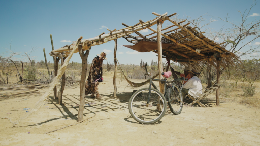 Festival de Cine de Cartagena 2025: película inaugural HOY 