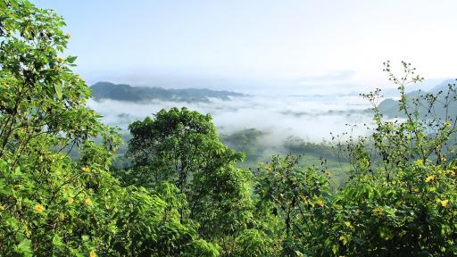 Una 'ciudad perdida' en Ecuador, amenazada por carreteras y erosión
