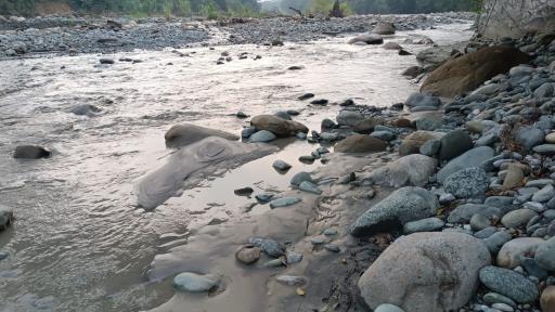 Meta: Vista Hermosa se viste de gala para el primer Festival de la Cucha
