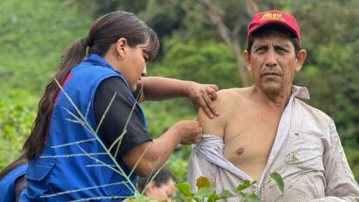 Fiebre amarilla: avances en vacunación 