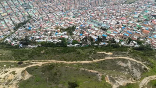  De leyendas a protección ambiental: descubre la historia del Palo del Ahorcado en Bogotá