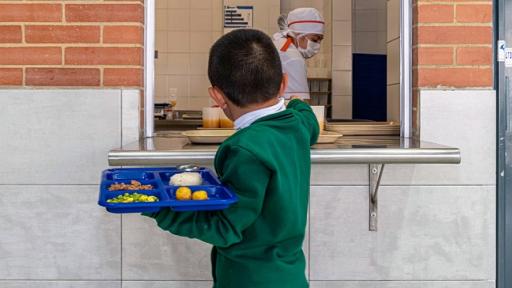 Plan de Alimentación Escolar 