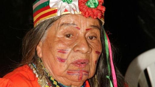 Día Internacional de la Lengua Materna y Día Nacional de Lenguas Nativas