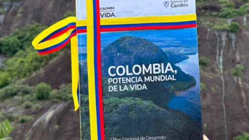 Presupuesto General de la Nación 2025 en Colombia: Avances