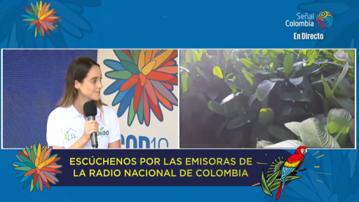 Emprendimiento Casa Bijao, en el Calentao.