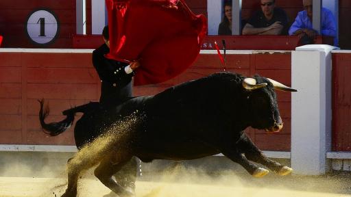 Ciudad de México cerca de abolir las corridas de toros