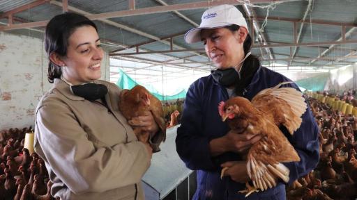 Cómo certificar conocimientos empíricos con el SENA | CampeSena