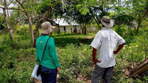 Alertan desplazamiento masivo en Nariño por ola de violencia
