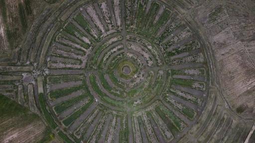 Crisis climática: Waru Waru, técnica agrícola