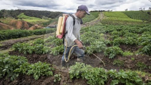 Crecimiento exportaciones septiembre 2025: impulsadas sector agropecuario 