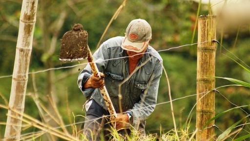 Excombatientes colombianos reciben tierras en propiedad como parte de la Reforma Rural Integral