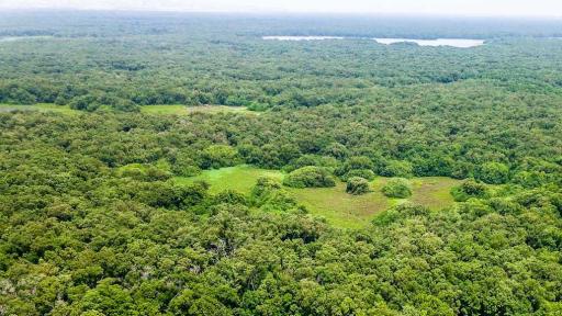 Minambiente triplicará incentivos económicos para comunidades que protejan la selva