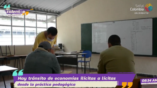 Institución educativa en Cauca transforma los recursos naturales de forma sostenible