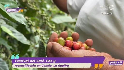 Cafeteros en  La Guajira.