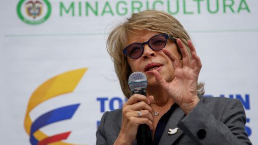 Exministra Cecilia Álvarez niega implicación en escándalo Odebrecht