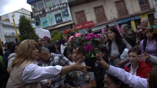 Pasto le apuesta hacer una ‘ciudad verde’