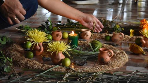 El hilo de agua y barro: El viaje del río Saldaña por los cuerpos y los arrozales del Tolima