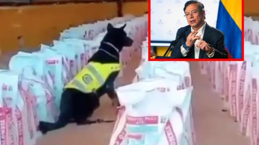 14 toneladas de cocaína fueron decomisadas en Buenaventura