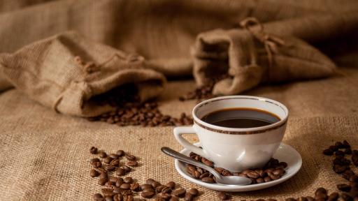 Historia y origen del café: ¿quién descubrió el café y en qué año?