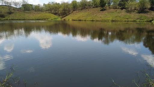 Colombia aprobó ley para proteger humedales 