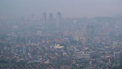 1,5 millones de muertes anuales ligadas a contaminación por incendios