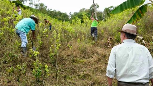 Inversión del Gobierno en Nariño: $400.000 millones para sustituir cultivos ilícitos y apoyar a campesinos