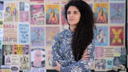 Proyecto para modernizar la Ley de Cultura supera primer debate en la Cámara