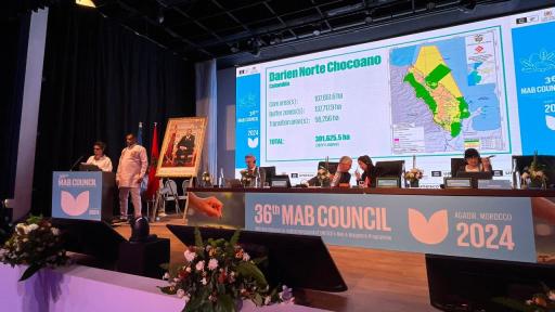 Declaración de la Unesco sobre el Darién Norte Chocoano