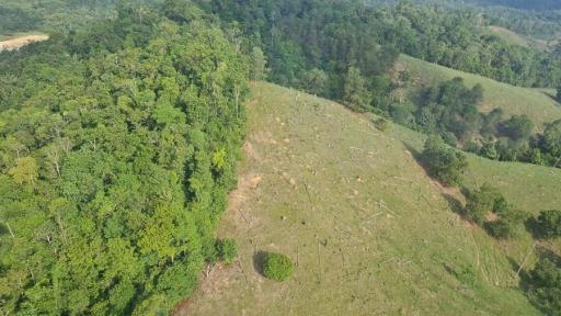 deforestación en Colombia