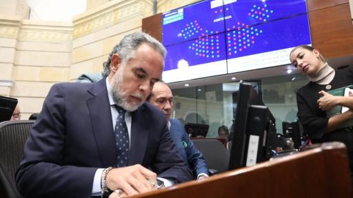 Ministro Benedetti denunció votos en consulta popular