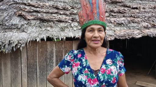 Pueblos indígenas de Colombia